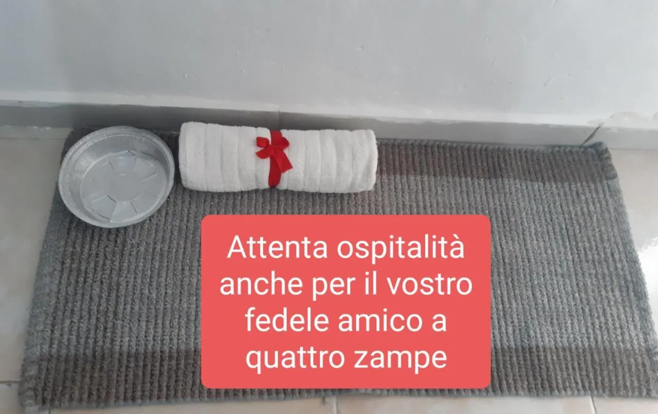 Vila Ettore Casa Vacanze Comiso Itálie